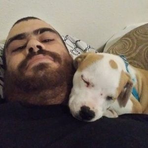 Meet your Posher, Edward